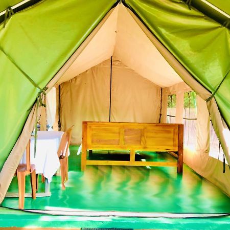 Eden Yala Hotel Bagian luar foto