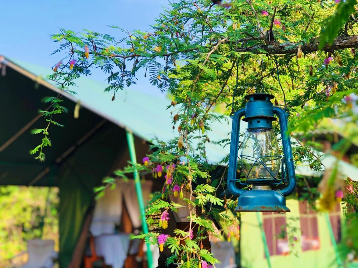 Eden Yala Hotel Bagian luar foto