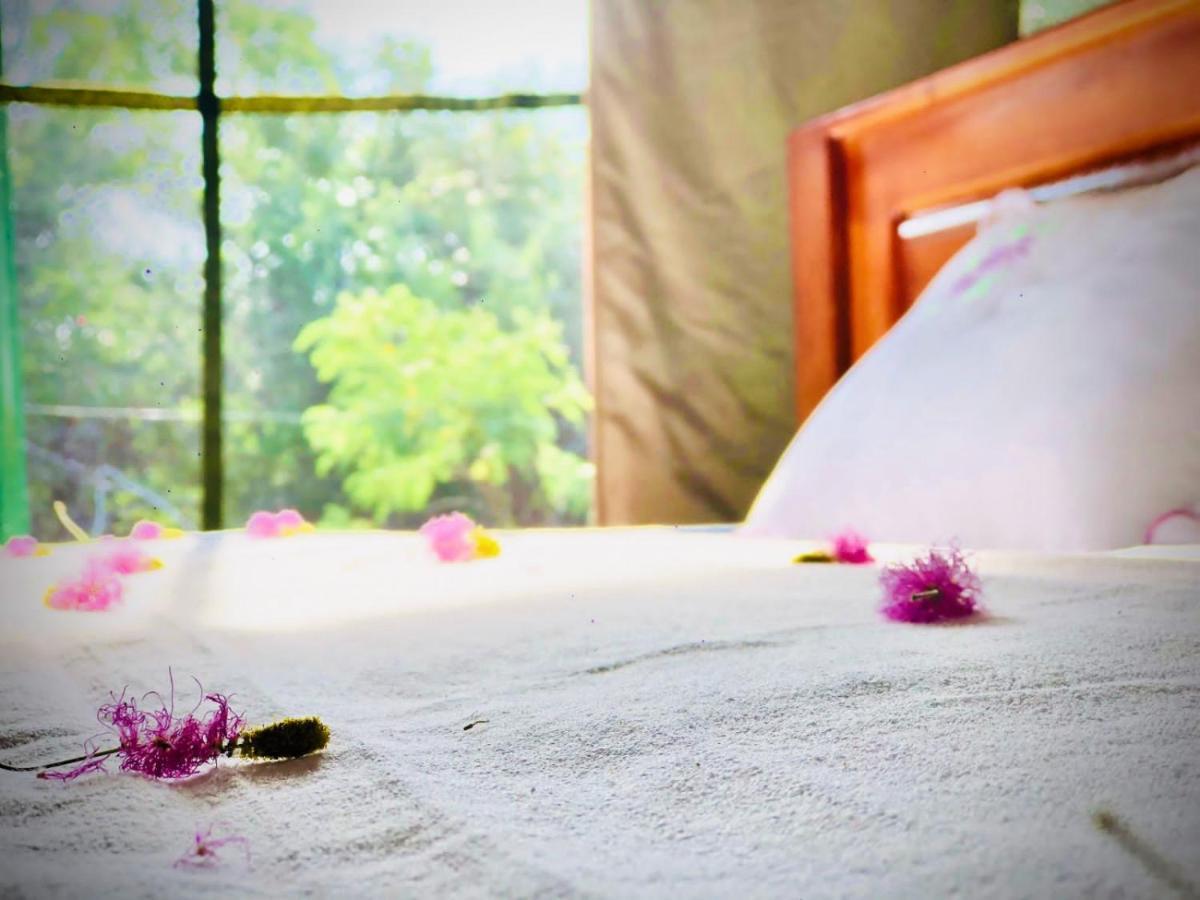 Eden Yala Hotel Bagian luar foto