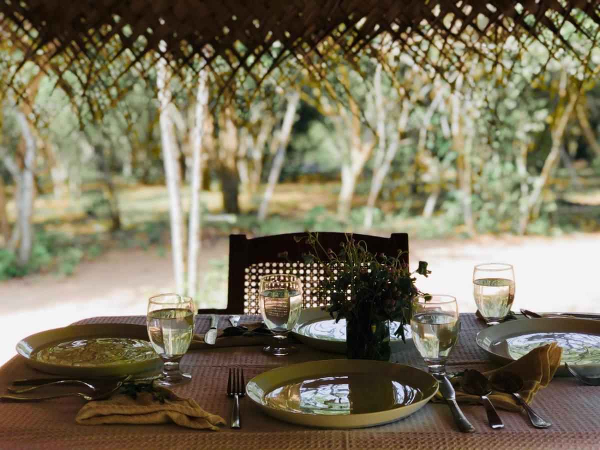 Eden Yala Hotel Bagian luar foto