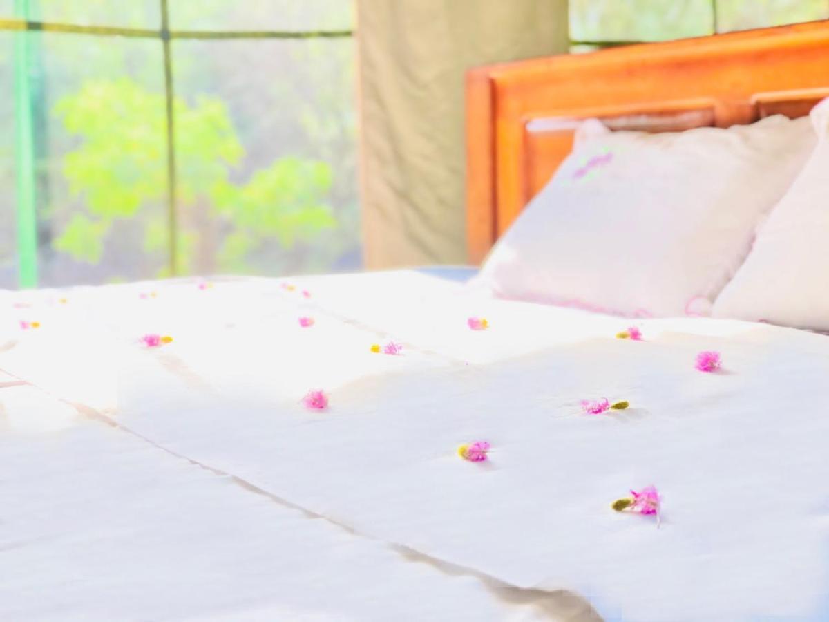 Eden Yala Hotel Bagian luar foto