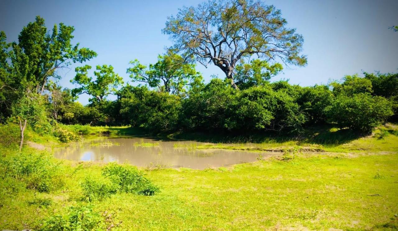 Eden Yala Hotel Bagian luar foto