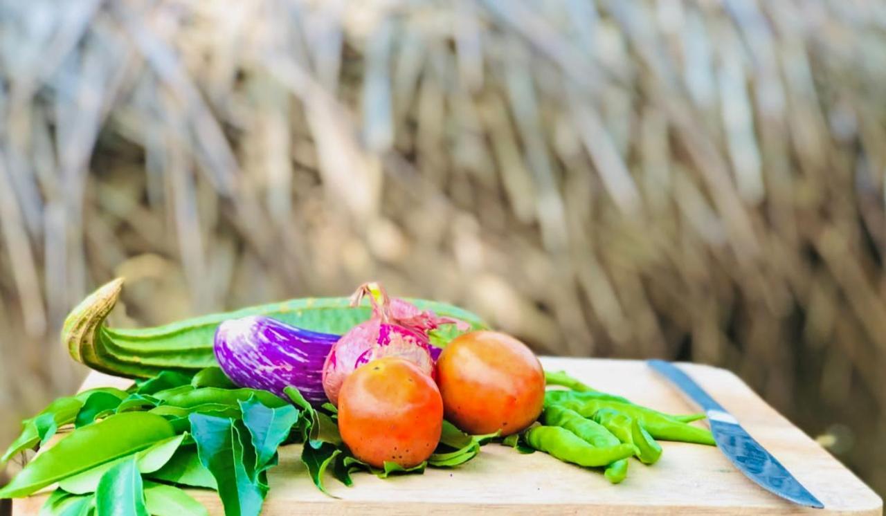 Eden Yala Hotel Bagian luar foto
