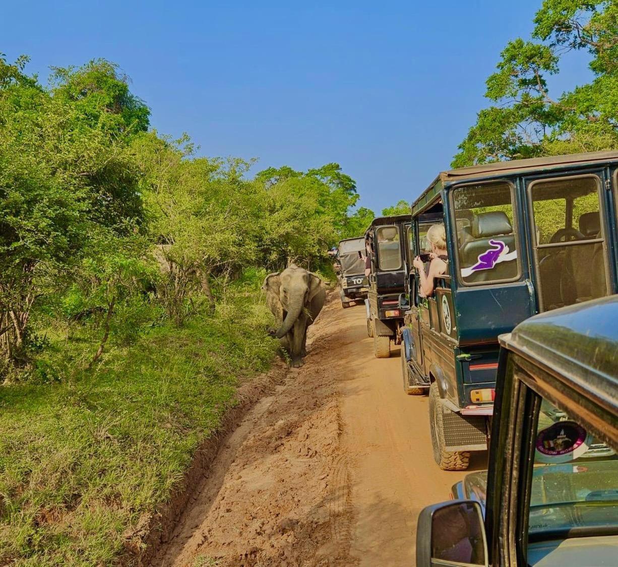 Eden Yala Hotel Bagian luar foto