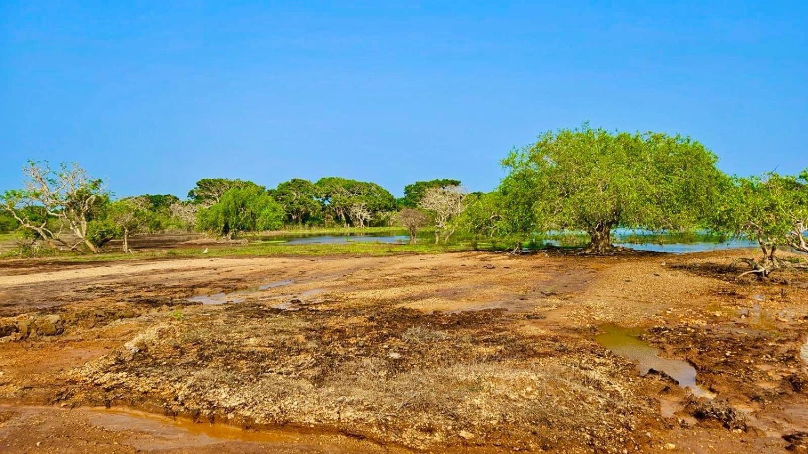 Eden Yala Hotel Bagian luar foto
