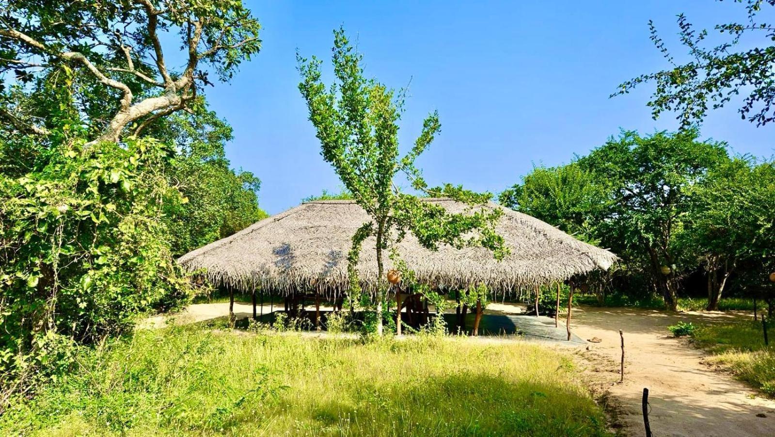 Eden Yala Hotel Bagian luar foto