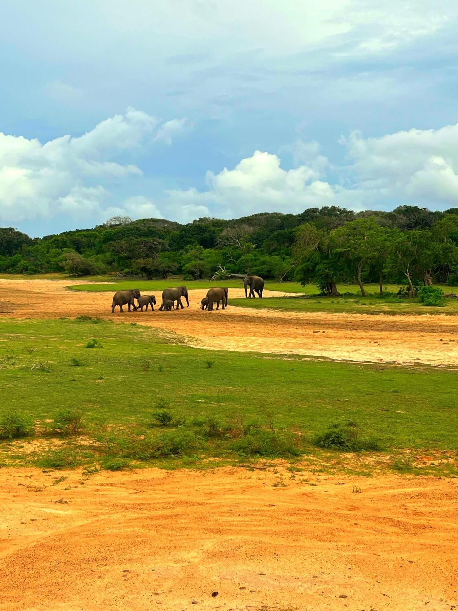 Eden Yala Hotel Bagian luar foto